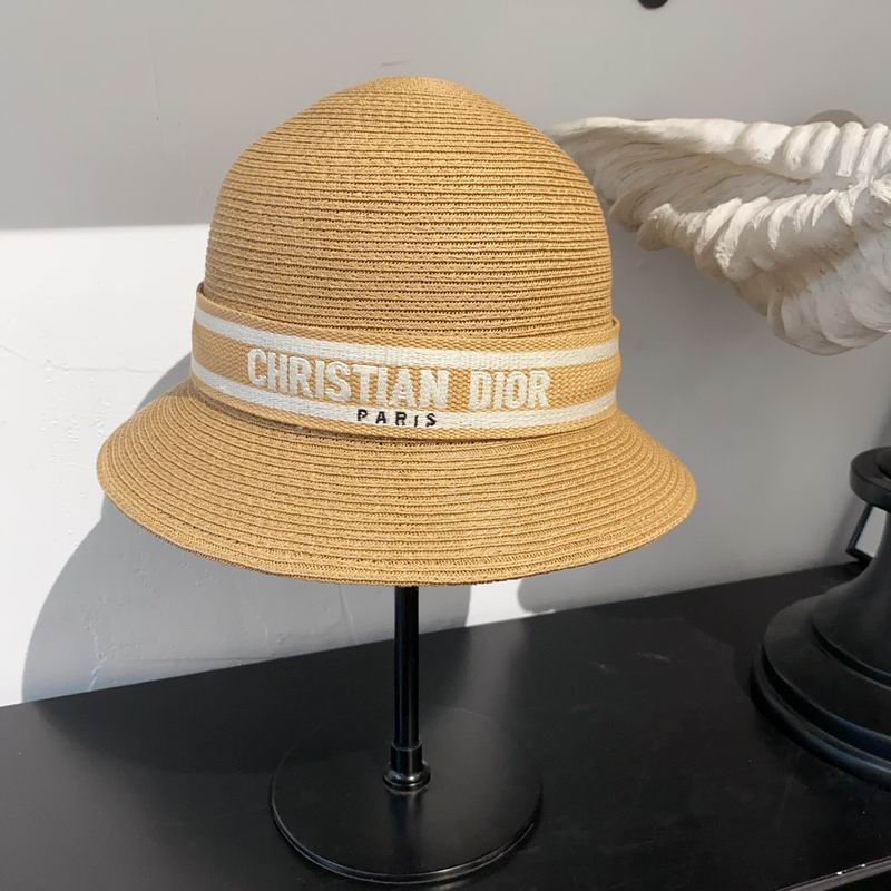 Dior hat (66)
